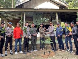 Rimbang Baling Riau: Hutan Suaka yang Menyelamatkan Masa Depan Satwa Langka