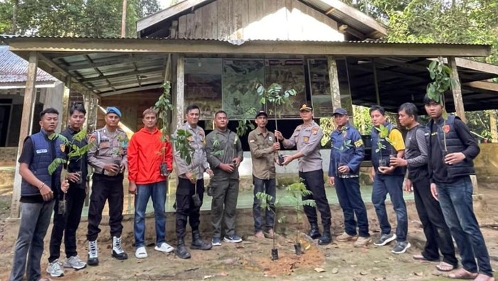 Rimbang Baling Riau: Hutan Suaka yang Menyelamatkan Masa Depan Satwa Langka
