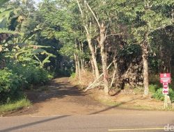 [Jauh dari Permukiman Warga, Lokasi Ledakan Pemusnahan Amunisi di Garut Jadi Perbincangan]