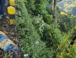 8 Wisatawan Gunung Bromo Luka Usai Landcruiser Terjun ke Jurang – Update 1