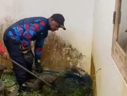 3 Musang Masuk Rumah Warga di Bogor, Damkar Evakuasi: Fenomena Hewan liar di Tengah Kota