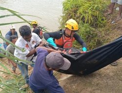 Lagi Nyeberang Kanal, Warga di Sumbar Tiba-tiba Disergap Buaya hingga Tewas – Update 1