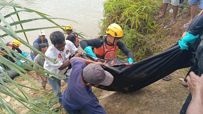 Lagi Nyeberang Kanal, Warga di Sumbar Tiba-tiba Disergap Buaya hingga Tewas - Update 1