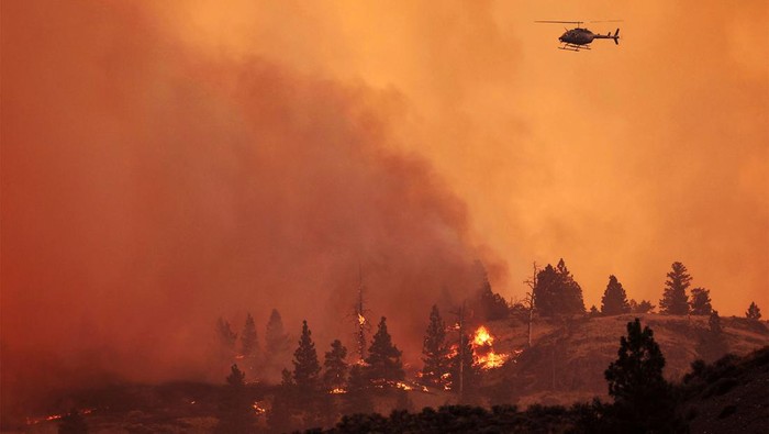 Kebakaran Hebat Landa Hutan di Kanada: Tragedi 2 Jiwa dan Ribuan Warga Mengungsi