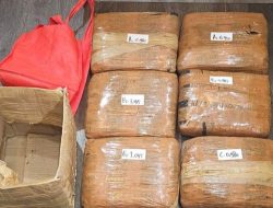 Polda Metro Tangkap Pengedar Narkoba Jaringan Sumatra, 6 Kg Ganja Disita – Update 1