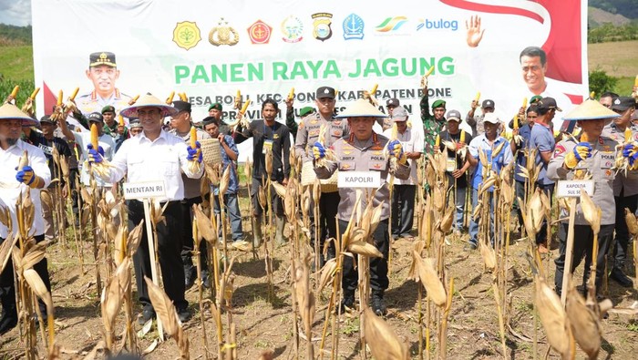 Kapolri dan Mentan Bersatu Panen Jagung di Bone, Gugah Ketahanan Pangan Indonesia