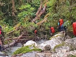 Hilang 22 Hari, Pendaki Asal Bogor Ditemukan Tewas di Gunung Binaiya – Update 1