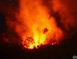 **Api Meneror Kebun di Bogor: Diduga Berasal dari Ledakan Tabung Oplosan**