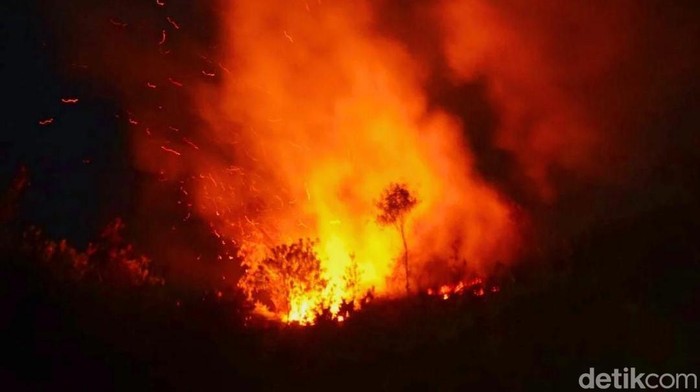 **Api Meneror Kebun di Bogor: Diduga Berasal dari Ledakan Tabung Oplosan**