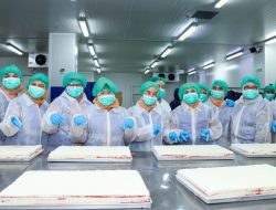 Kunjungi Pabrik The Harvest, DWP MPR Gali Ilmu & Cari Peluang Usaha!