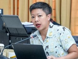 PSI Protes Rencana Wisata Pulau Kucing, Ancam Ekosistem Pulau Seribu!