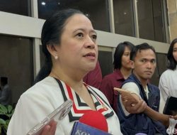 DPR soal Penunjukan Dirjen Pajak-Bea Cukai: Ada Kebutuhan Penting – Update 1