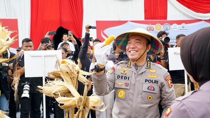 Irwasum Soroti Kinerja Gugus Tugas Polri, Produksi Jagung Tembus Rekor Baru!