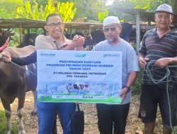 “Pelindo Petikemas Siapkan 30 Juru Sembelih Halal Jelang Idul Adha 2025”