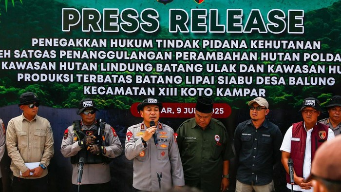 Tim Polda Riau Bongkar Perambahan Hutan Lindung, 4 Orang Ditangkap