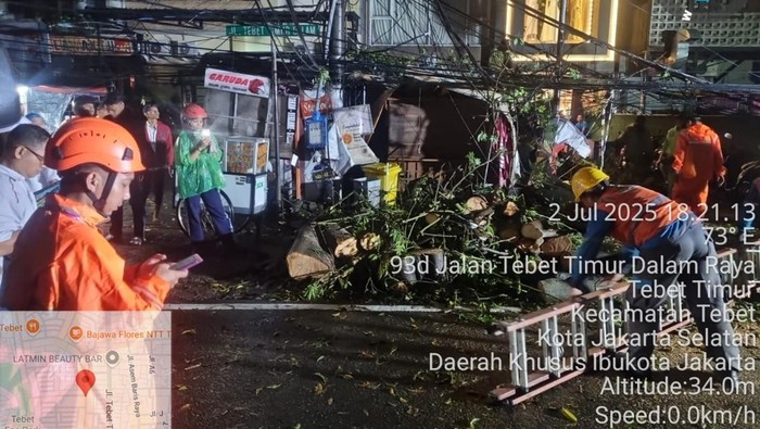 Pohon Tumbang Timpa Kios dan Motor di Jaksel gegara Hujan-Angin Kencang - Update 1