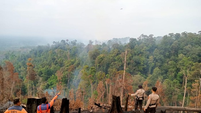 Polisi dan BPBD Adukan Teknik Water Bombing melawan 28 Ha Karhutla di Rohul: Perjuangan Menyelamatkan Hutan
