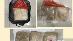 2 Pria Bawa 9 Kg Ganja Dibekuk di Jaktim – Update 1