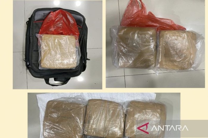 2 Pria Bawa 9 Kg Ganja Dibekuk di Jaktim - Update 1