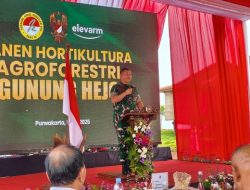 TNI AD Akselerasi Agroforestri 200 Hektare, Transformasi Lahan di Purwakarta dalam 4 Bulan