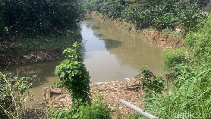 **Biawak Berjajar ke Arah Mayat Tanpa Kepala di Ciliwung: Kesaksian Warga yang Mengerikan**