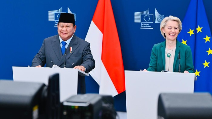 WNI yang Sudah Berkunjung ke Eropa Bisa Dapatkan Visa Schengen Multi-Entry, Inilah Kebijakan Baru dari Komisi Eropa!