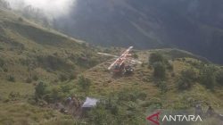 Kebakaran Hutan di Amazon Ancam Ecosistem Global