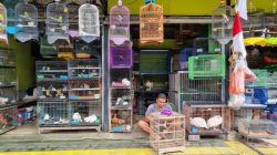 66 Pedagang Burung di Barito Jaksel Dipindah ke Lenteng Agung Bulan Depan, Apa Akibatnya?