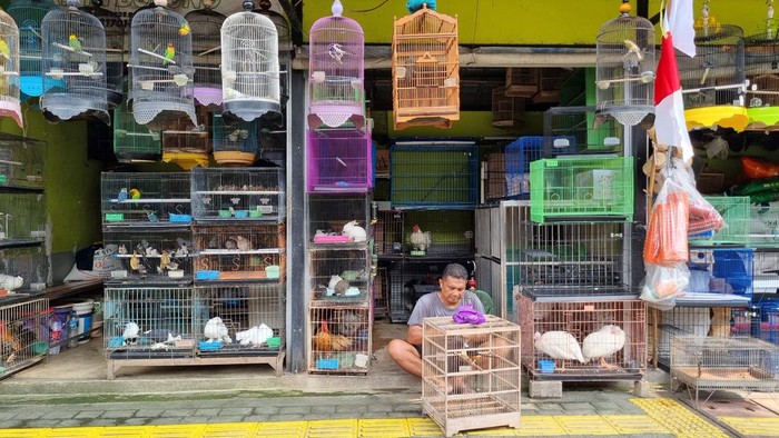 66 Pedagang Burung di Barito Jaksel Dipindah ke Lenteng Agung Bulan Depan, Apa Akibatnya?