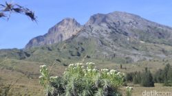 “Pemerintah Tutup Total Jalur Pendakian Rinjani, Apa yang Terjadi?”