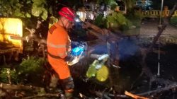 “Pohon Tumbang Timpa Kios di Bogor: Hujan-Angin Kencang Ancam Warga”