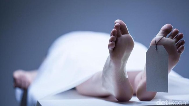 Terungkap Misteri Mayat Wanita Membusuk dengan Terborgol di Cisauk: Tragedi Mengejutkan di Balik Kasus Pembunuhan
