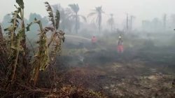 Kapolda Riau Geser TKP Lewat Aplikasi Lancang Kuning, Pantau Hotspot dengan Teknologi Canggih!