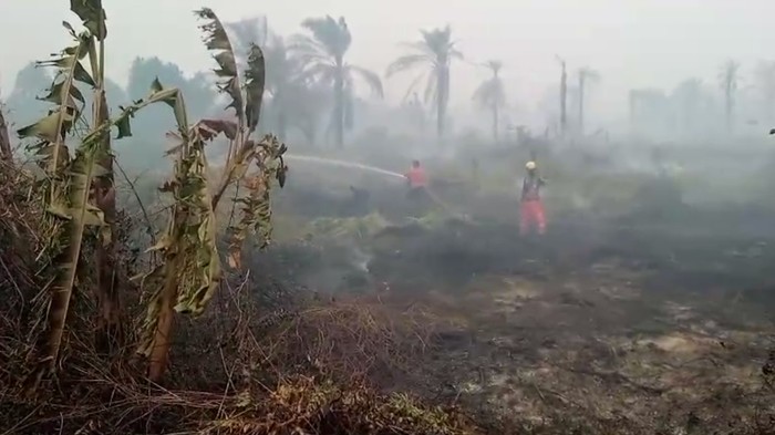 Kapolda Riau Geser TKP Lewat Aplikasi Lancang Kuning, Pantau Hotspot dengan Teknologi Canggih!