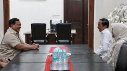 Jokowi Puji ‘Diplomasi Personal’ Prabowo, IEU-CEPA dan Tarif Trump Berbuah Manis