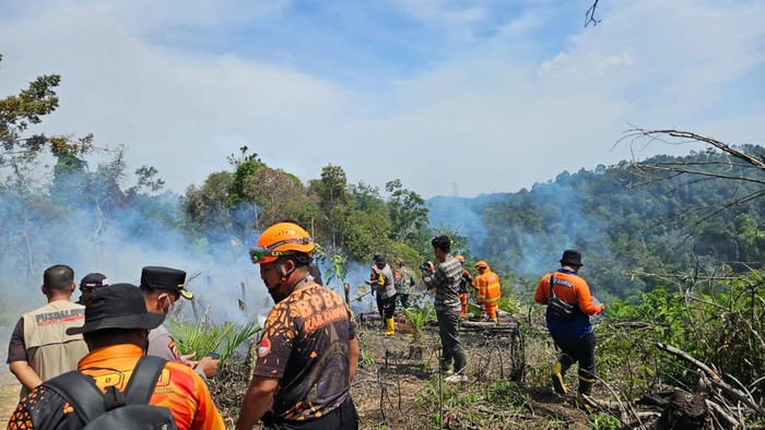 Polisi Kembali Tangkap Pelaku Pembakaran 3 Hektare Lahan di Kampar!