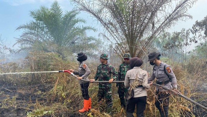 **Karhutla di Dumai Memasuki Hari Kedua, Polri dan TNI Terus Berjuang Lawan Api**