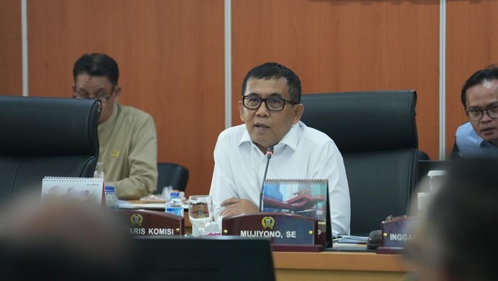 Demokrat Siap Kawal Program Pramono: Dari Proyek Mangkrak ke Taman Kota yang Aksesibel