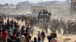 Data PBB: 294 Warga Gaza Tewas saat Cari Bantuan, Perundingan Gencatan Senjata Berlangsung