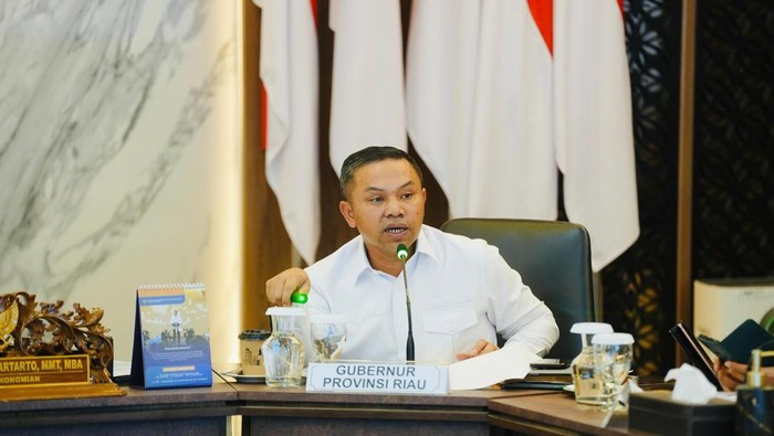 **Hotspot di Riau Menyusut Drastis, Gubernur: Patroli Udara dan Darat Kunci dalam Perangi Api**