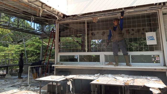 **9 Bangunan di Puncak Bogor Dibongkar, Menteri LH Hadir Langsung di Lokasi!**