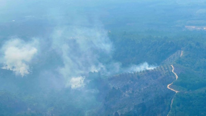 Polda Riau Berhasil Dijerat 51 Pelaku Karhutla, Konsistensi yang Tak Terbantahkan! Dari Media XYZ