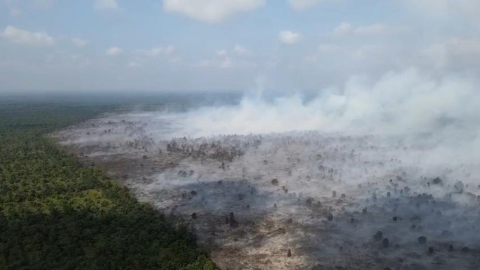 Jambi Disempil Api, Karhutla Meluas 421,77 Hektare, BPBD Berupaya Kungkangi Krisis