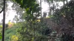 Viral! Turis Pilih Rute Terjal Bukit Paniisan Bogor, Hindari Pungli dengan Cara Ekstrem