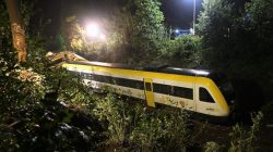 **Tragedi Kereta di Hutan Jerman: 3 Tewas, Ribuan Dalam Kendali**