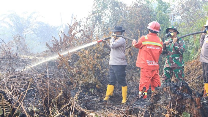 Karhutla di Inhil Masuki Tahap Pendinginan, TNI-Polri-BPBD Tetap Waspada - Update 1