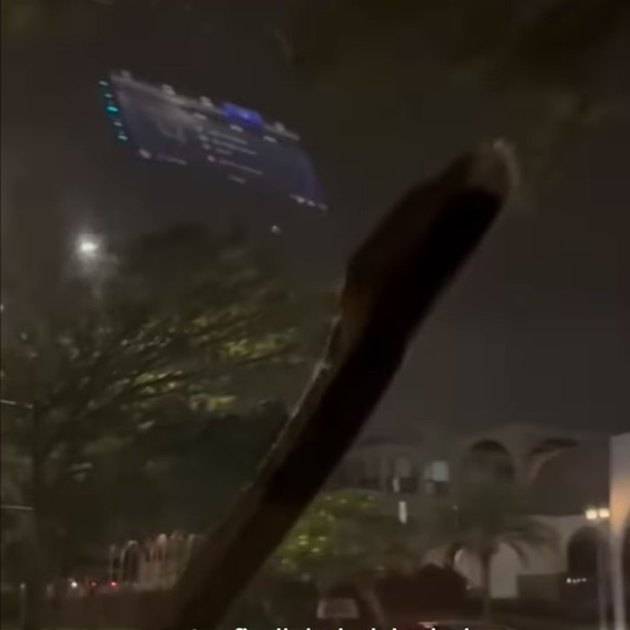Ngeri! Mobil Melaju Malam di Serpong Ketiban Sanca, Tragedi yang Menggoncang Kemanan Publik!