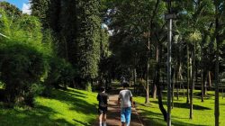 **Anggaran Rp 50 M untuk Gabungkan 3 Taman di Jaksel, Dana KLB Jadi Solusinya**