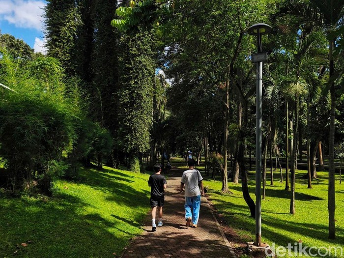 **Anggaran Rp 50 M untuk Gabungkan 3 Taman di Jaksel, Dana KLB Jadi Solusinya**