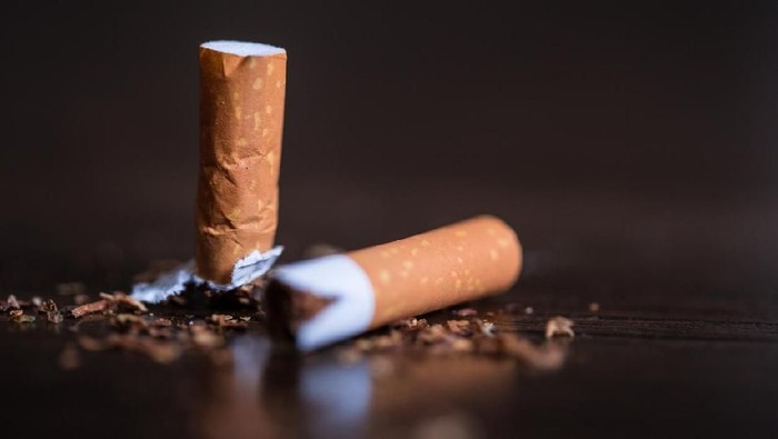 Jutaan Batang Rokok Ilegal Disita di Bogor, Tim Gabungan Berhasil Lindungi Masyarakat Sejak 2023
